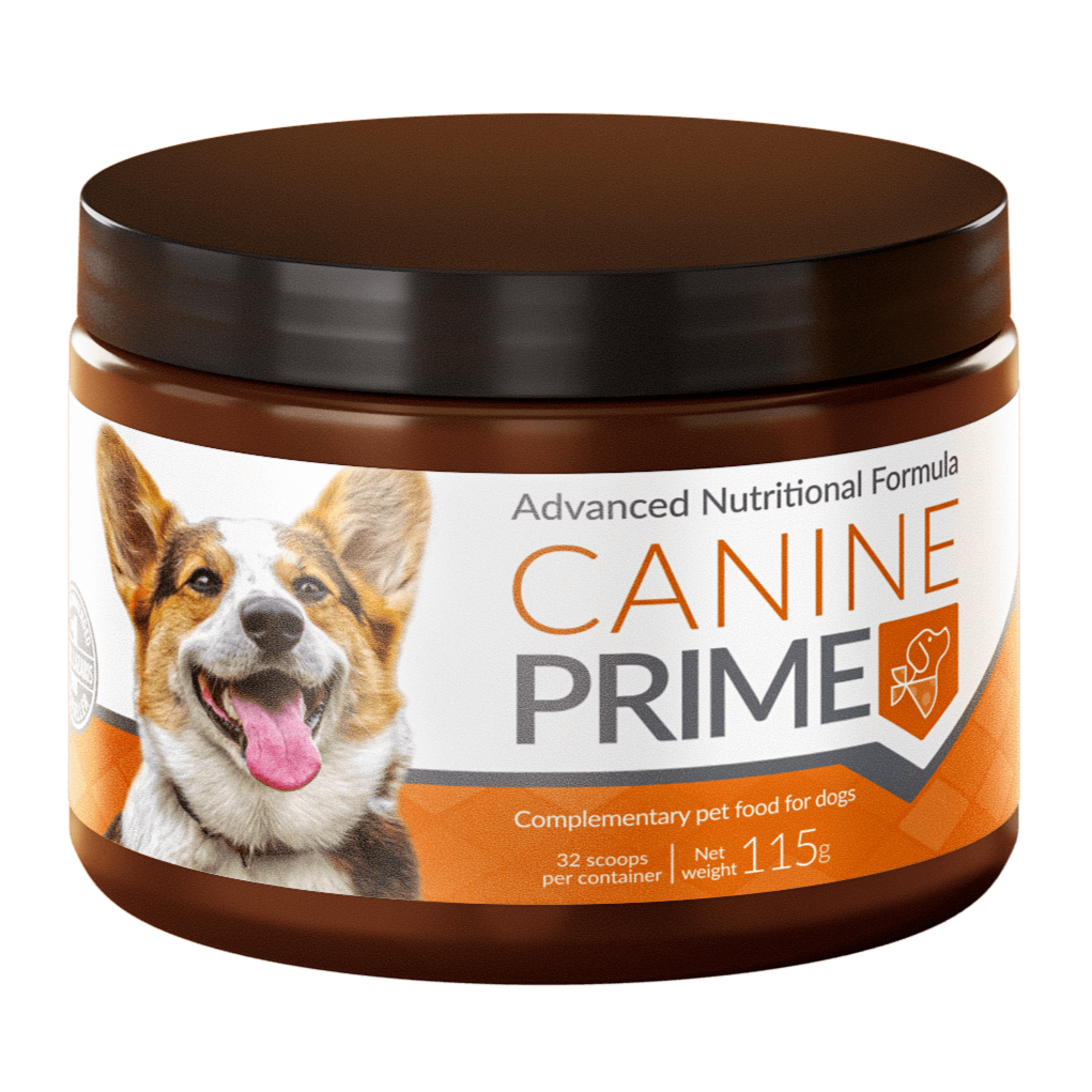 Canine Prime