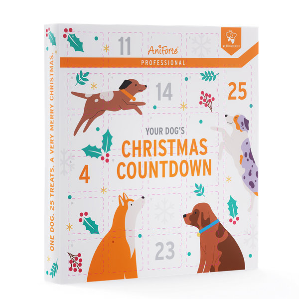 Alpha Bites Advent Calendar