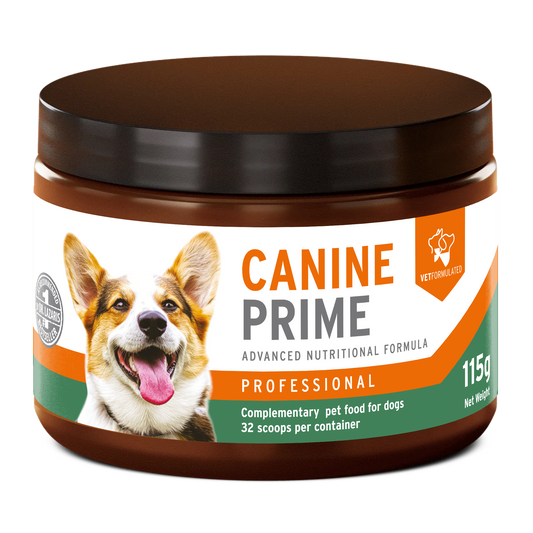 Canine Prime