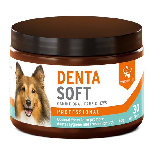 Denta Soft