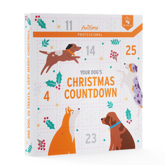 Alpha Bites Advent Calendar