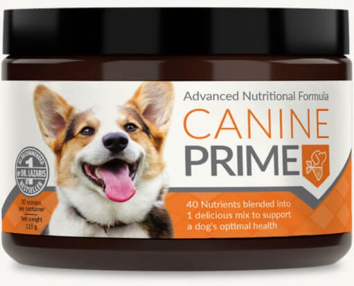 Canine Prime