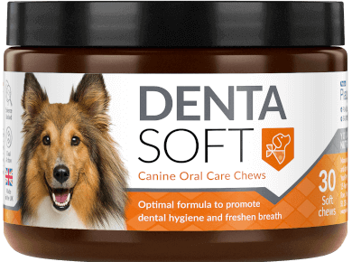 Denta Soft