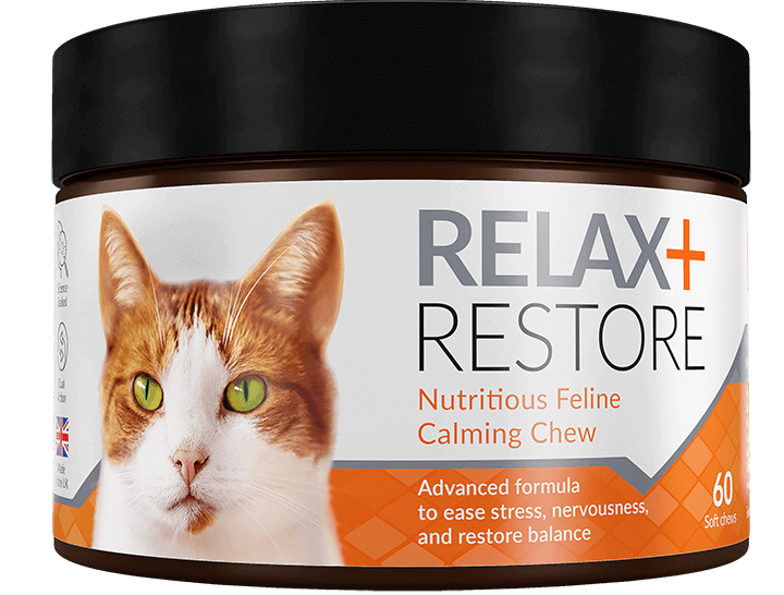 Relax + Restore Cats
