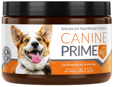 Canine Prime - The World's Most Powerful Dog Supplement